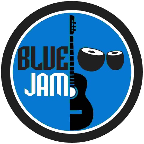 Blue Jam Guitars-  Best Guitars for Beginners In India