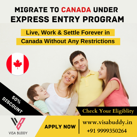 Best Immigration Consultants In India