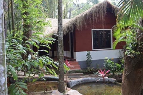 Cottages resort in coorg