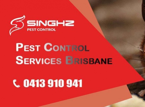 Singhz Pest Control Brisbane