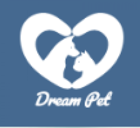DreamPet - Cats and Dogs for Sale