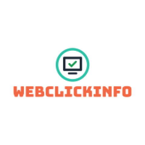 WEBCLICKINFO- Best Web Designing and Digital Marketing Agency In Delhi, India