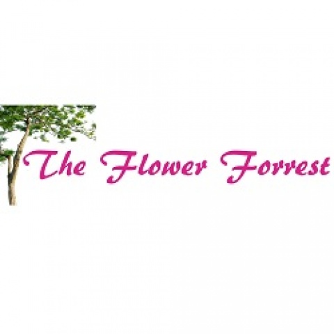 Flower Forrest