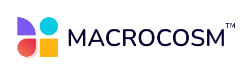 Macrocosm IT services