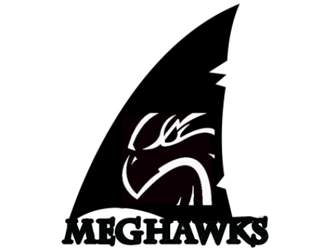 Meghawks