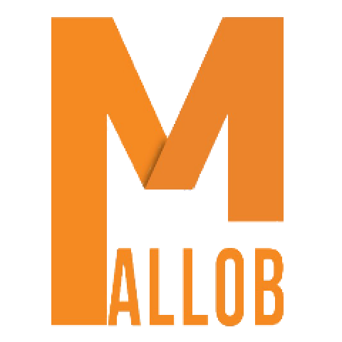 Digital Marketing Agency & Local Seo Services NC - Mallob