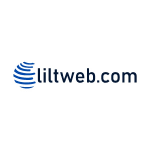 LiltWeb- Professional Web Design Services