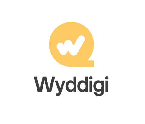 WYDdigi Agency - Best Digital Marketing Agency in Dhule