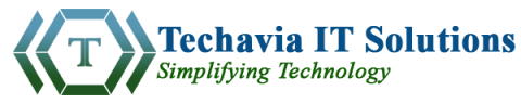 Techavia IT Solutions