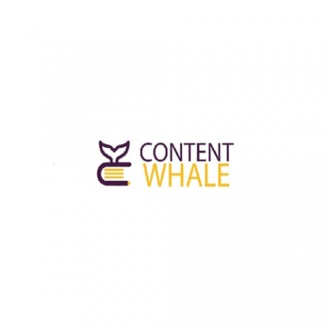 Best Content Writing Company in DelhI