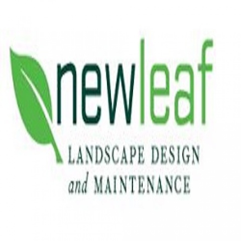 New Leaf Landscape Design and Maintenance