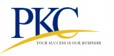 Financial Audit Services | PKC India