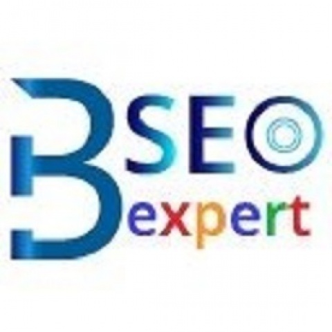 SEO Expert In Bangalore - bangaloreseoexpert.com