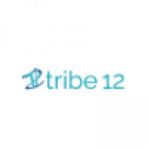 Tribe12org