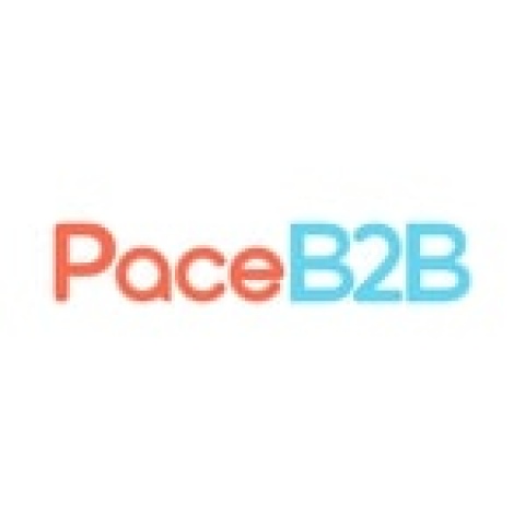 B2B Marketing Service - PaceB2B