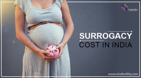 Surrogacy In India - Surrogacy Cost In India - Vinsfertility