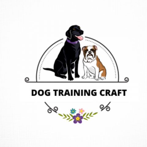 Dog Training Craft