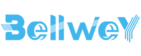 Bellwey Digital Marketing Services