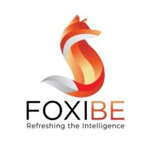 Affordable Web Development & Web Design Agency, USA & India - Foxibe Innovations
