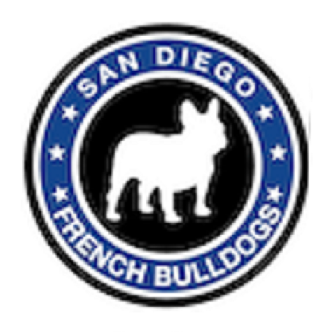 French Bulldogs San Diego