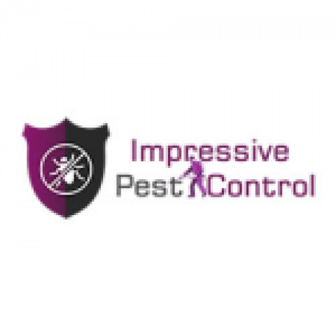 Impressive Pest Control Melbourne
