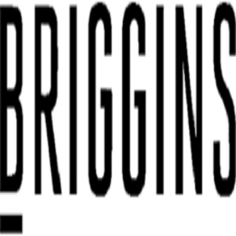 Briggins
