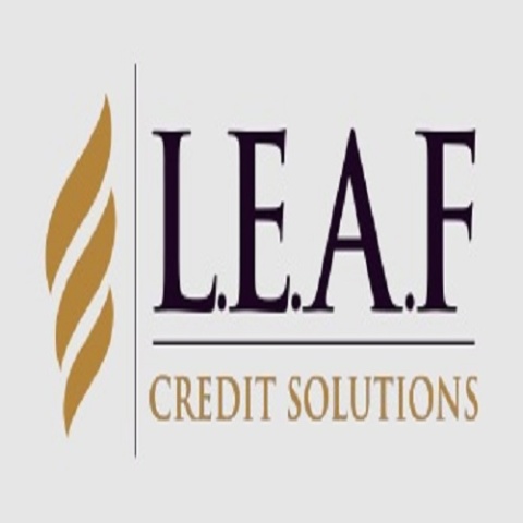 Credit Building Companies USA - Leaf Credit Solutions