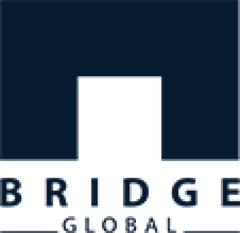 Bridge Global Store