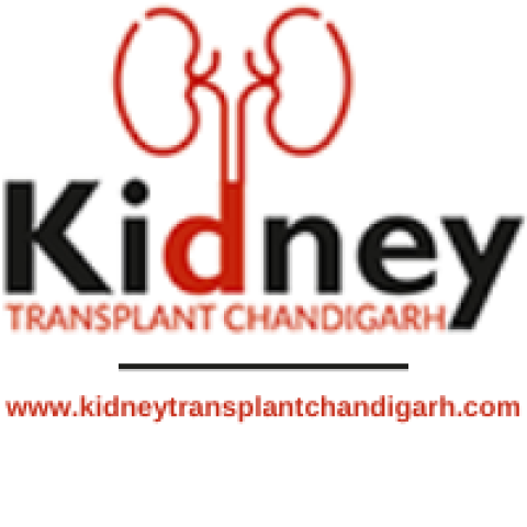 Kidney Transplant  Chandigarh