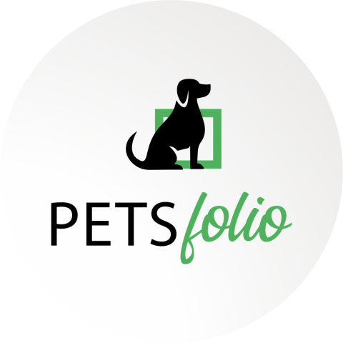 Dog Grooming Services in Bangalore - petsfolio