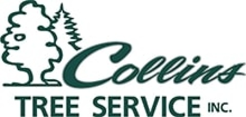 Collins Tree Service Inc