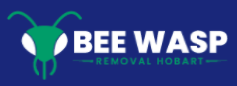 Bee Wasp Removal Hobart