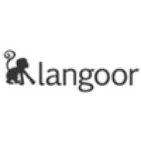 Langoor Havas Digital Private Limited