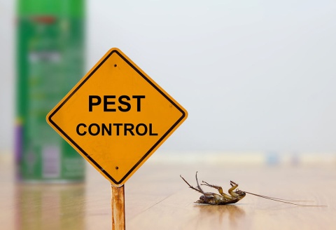 BeSure Pest Control Melbourne