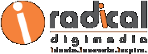 Digital Marketing Company Bangalore - Immersive Radical Digimedia