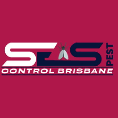 Best Termite Treatment Brisbane