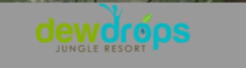 Dandeli Jungle Resort | Dandeli Resorts | Best Resorts in Dandeli