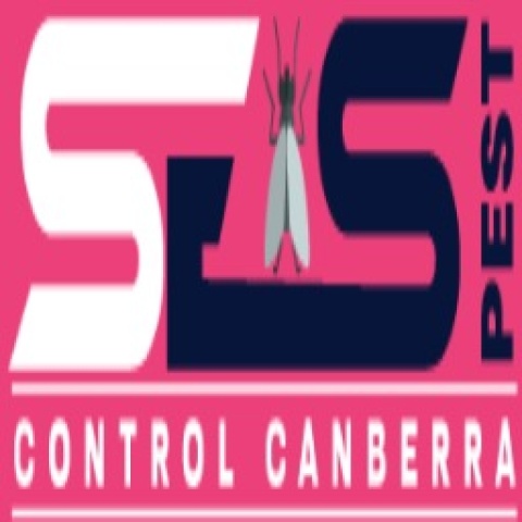Flies Control Canberra