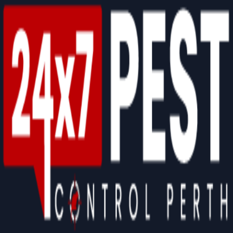 Termite Inspection Perth