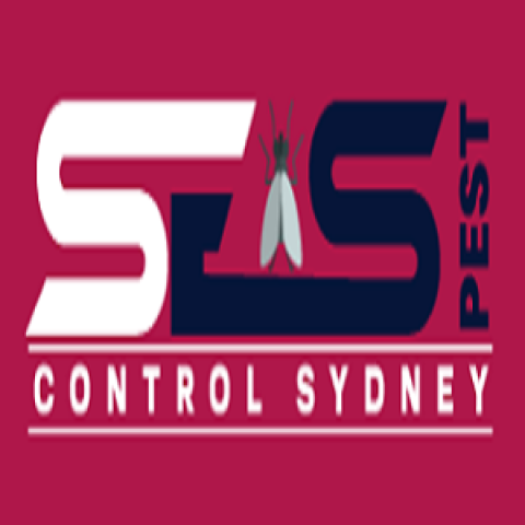 Rodent Pest Control Sydney