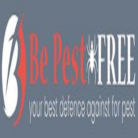 Pest Control Adelaide