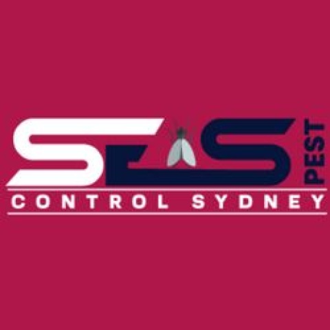 Possum Control Sydney