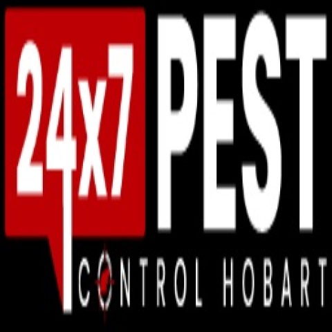 Cockroach Control Hobart