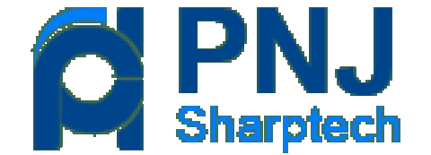 Pnjsharptech Computing services
