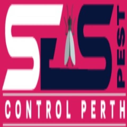 Flies Control Perth