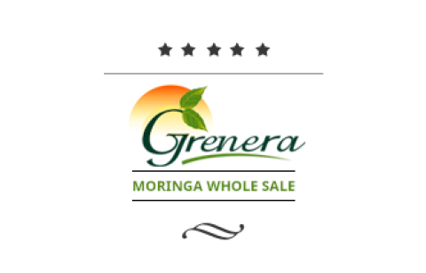 healthy tasty grenera moringa tea bags moringa wholesale