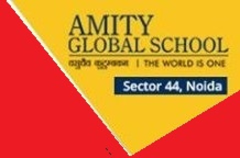 Amity Global School Noida