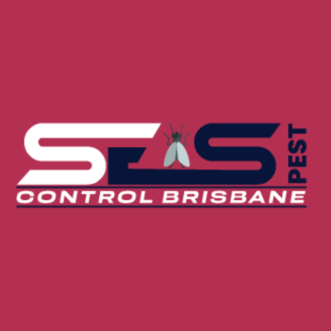 Bee And Wasp Removal Brisbane