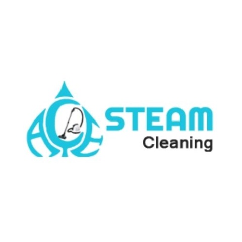 Ace Steam Clean