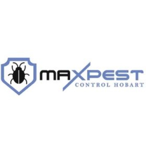 Ant Removal Hobart